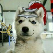 刁民竟敢直视本王