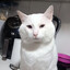 GatilaZN