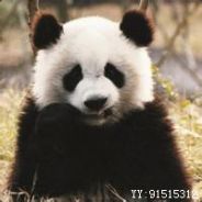 Lao Zhang