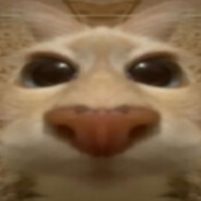 Yamii avatar
