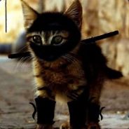 NinjaKitty