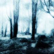 сергей лифонов