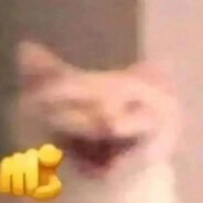 放心吧，一定会搞砸哒