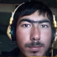 阿达西的牛子比擎天柱