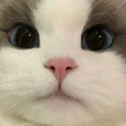 HHHHHHHHHHHZZZZZZZZZZ