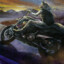 cool wolf riding motorcycle