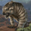 Thylacoleo