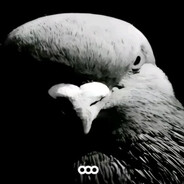 злой памперс