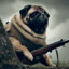 Pug Boss