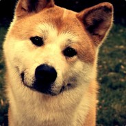 众神之父赐予我重伤倒