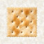 saltine cracker