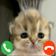 76561199120921957