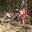 _parrot777