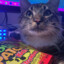 sour patch Cat :P