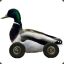 duckroller