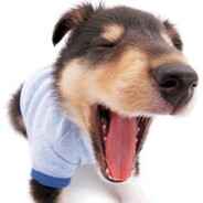 Аттестат - Купил.