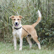 braylen visioncloud.cc UID:97