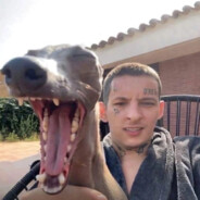 im russian.questions?