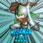 Megaman220