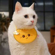 看到小帮手请给我