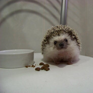 MilesMor - steam id 76561199830563899