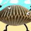 King of the clams