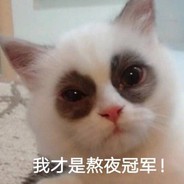 我才是熬夜冠军！