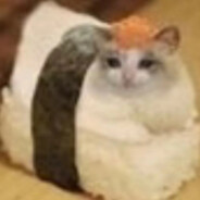 无糖全麦面包猫猫