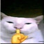 Me-eow