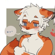 虎裤里的贴身内衣