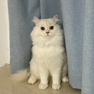 允许部分艺术家先富起.