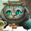 Профиль игрока чеширский котик - поиск тиммейта для игр
