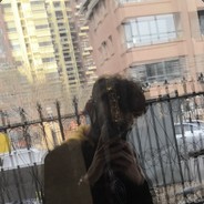 乖巧萌新**求轻锤