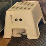 你见我的小熊了嘛