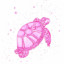 Pink Turtle_06