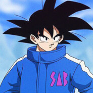 Son Goku DBZ [AWG]