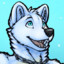 XanderFrost