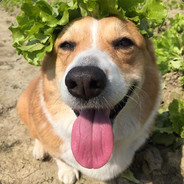 心中那抹中国红