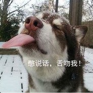 奔驰的二哈