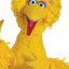 big bird