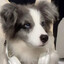 Wolfi