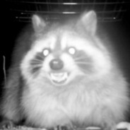 Doom Raccoon