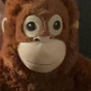 Kazuo - steam id 76561199741909729