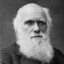 CHARLES DARWIN