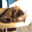 Meeoooww