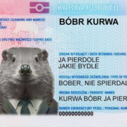 bober kurwa