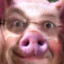 Rudolifffo