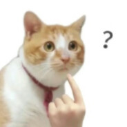 唐唐的