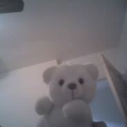 MrWolfie