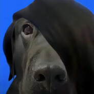 命中有官丁老爷书不翻